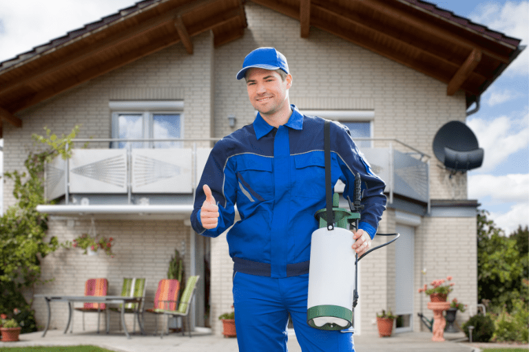 Pest Inspection